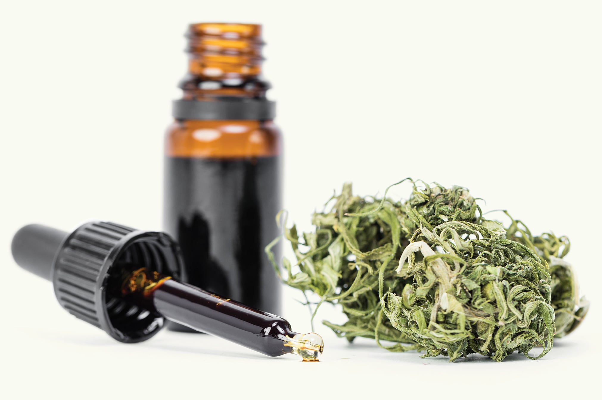 indian tobacco company wiki Sacred Tobacco: The First of the Four Sacred Medicines