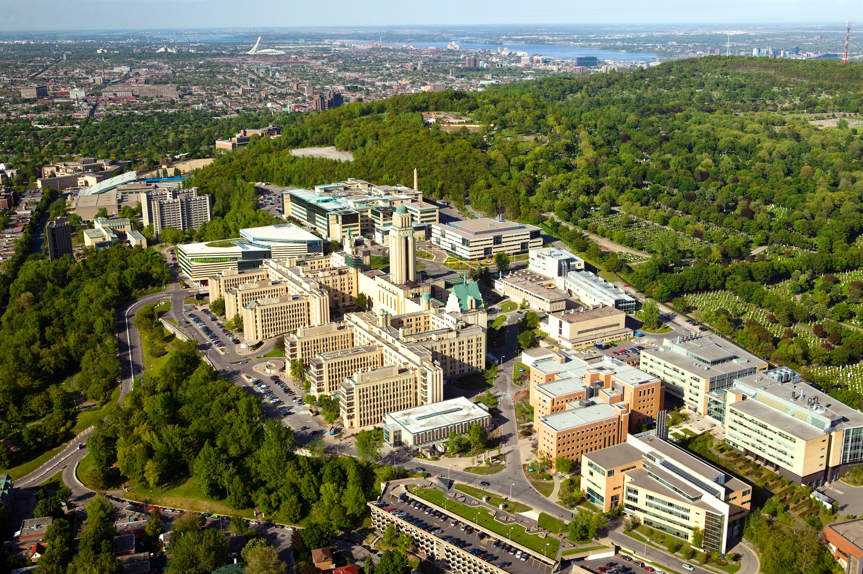 UdeM Vet Med Cégep: Admissions Guide 2026-2027
