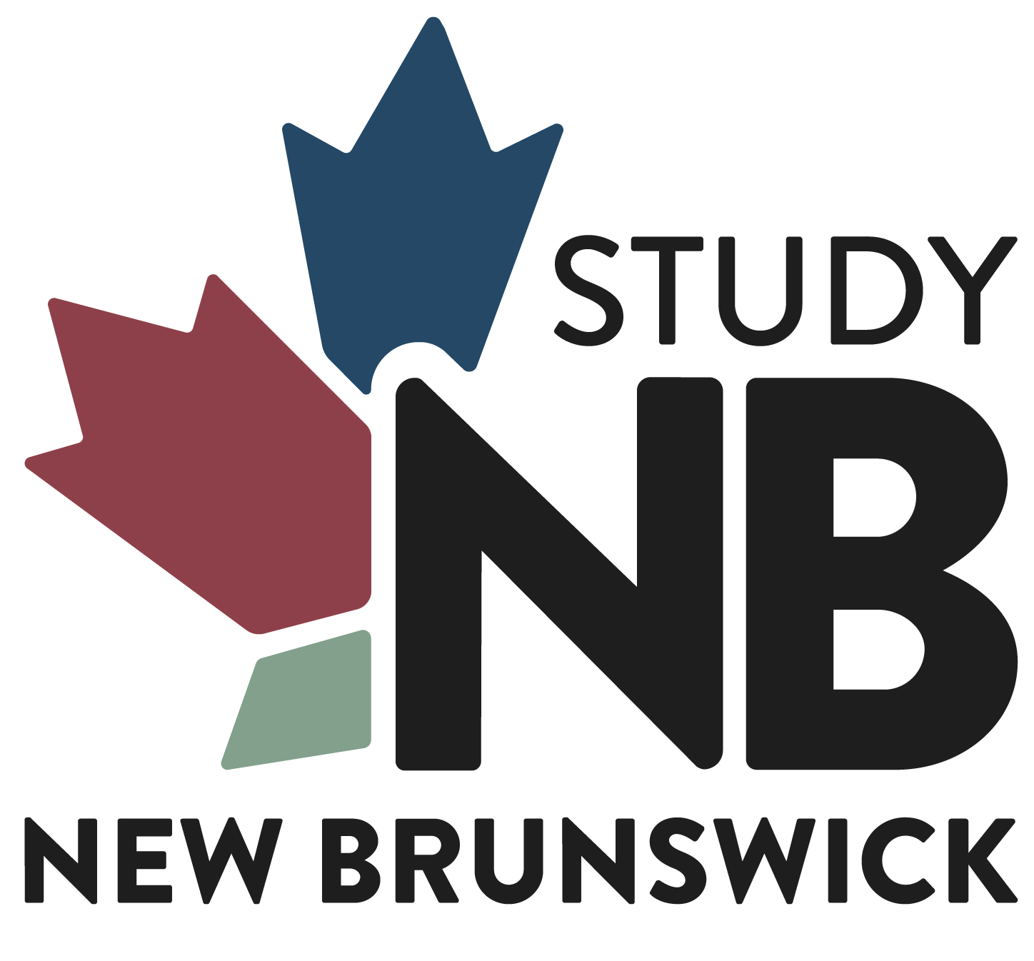 StudyNB logo