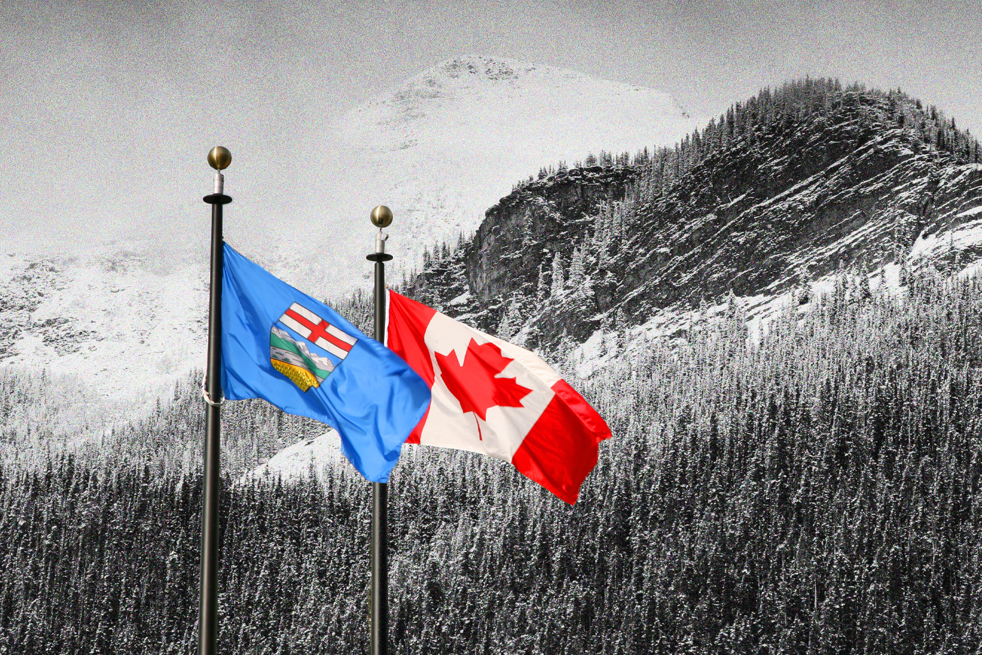 Why I’m Forever Canadian