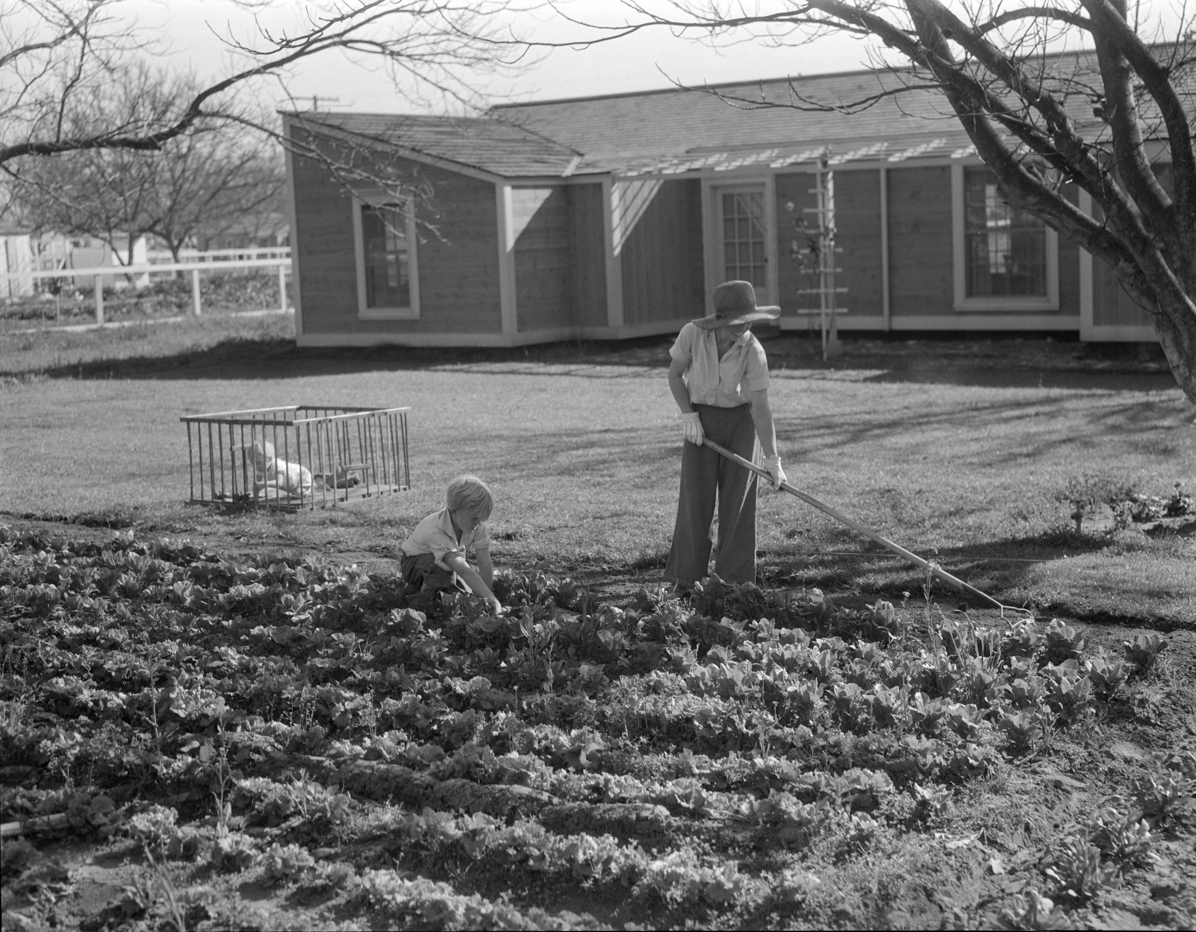 The Canadians Growing Their Own Groceries